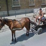 Horse and Carriage