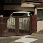 Perfect parking skills