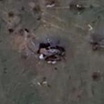 Destroyed Russian BMP-3 turtle
