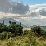 Volcanoes National Park