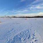 Mount Baldy (sand dune)