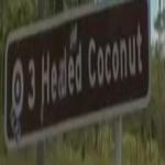 "3 Headed Coconut"