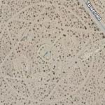 Strange Satan Symbol