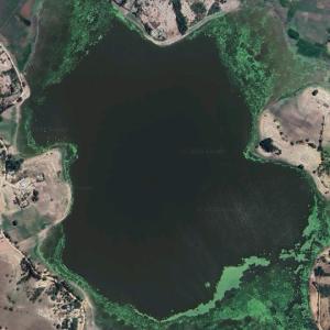 Étang Laborde (Google Maps)