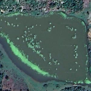 Étang Célina (Google Maps)