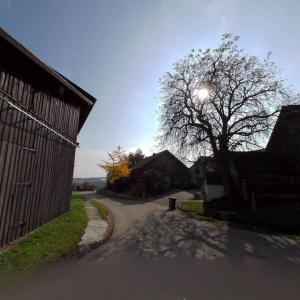 Fuckersberg, Austria - Downtown (StreetView)