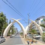 Mombasa Tusks