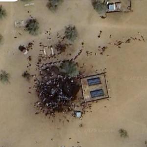 Dead bodies and blood (Google Maps)