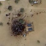 Dead bodies and blood