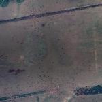 Artillery Destroys Dispersed Military Positions in Treeline