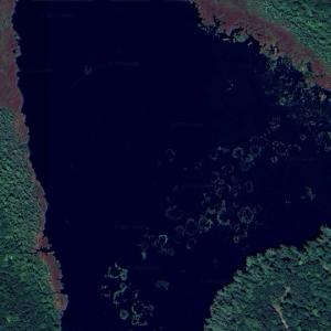 Bog Pond (Google Maps)