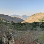 Barberton Nature Reserve