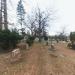 Woodlawn Cemetery - Detroit