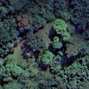 Tomb of Robert Louis Stevenson (Google Maps)