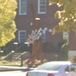 'Arcus' by Phil Proctor