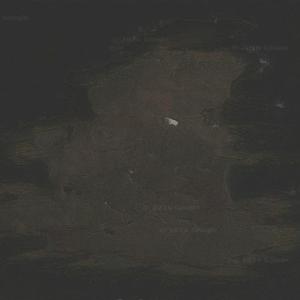 Petrel Island (South Georgia) (Google Maps)