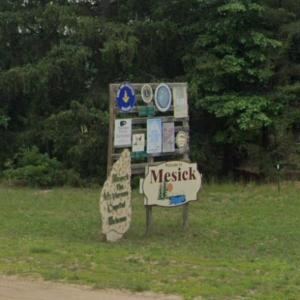 Welcome to Mesick (StreetView)