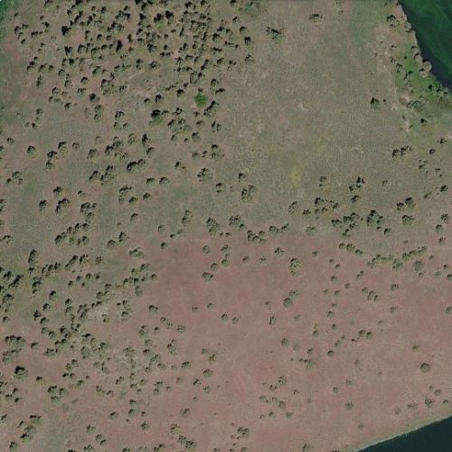 Bare Island in Modoc Point, OR (Google Maps)