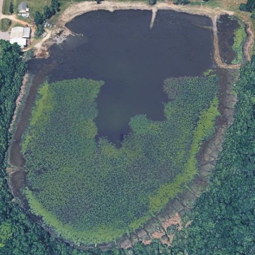 Daughtry Pond in Hartford, AL (Google Maps)