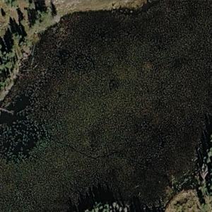 Steele Lake (Google Maps)
