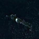Possible Sunken Ship?