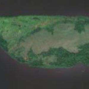 Ilha Rocka (Google Maps)