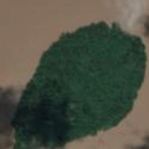 Bunia Banabu Island (Google Maps)