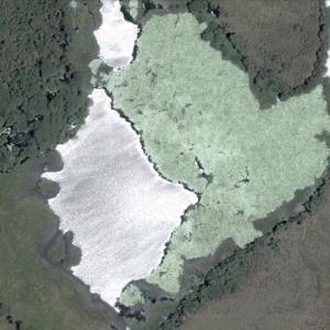 Crane Pond (Google Maps)