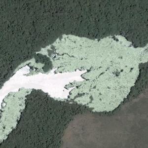 Boundary Pond (Google Maps)