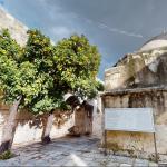 Fruit tree beside the tomb of John the Baptist