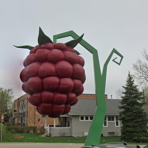 World’s Largest Raspberry in Hopkins, MN - Virtual Globetrotting