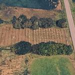 Sacred Heart Cemetery