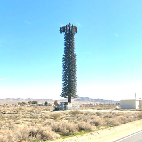 Fake Tree Cell Tower in Adelanto, CA - Virtual Globetrotting