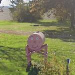 Pink Pig Gas Barrel