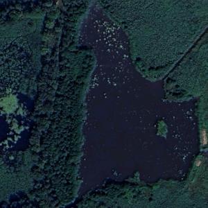 Tauerwiesen (Google Maps)