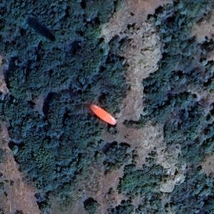 Paraglider (Google Maps)