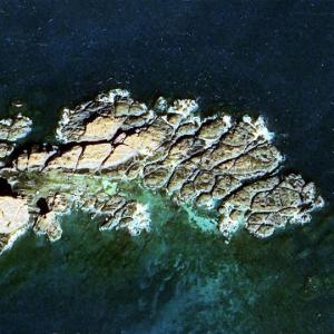 Tiezhan Yu (Google Maps)