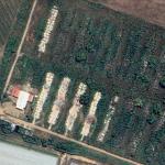 N&eacute;cropole of Nsele