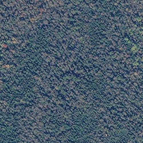 Cedar Island in Rydal Bank, Canada (Google Maps)