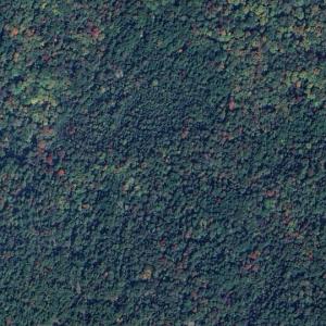 Portlock Island (Google Maps)
