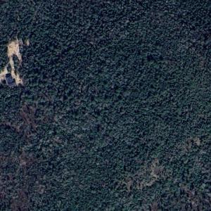 Pine Island (Google Maps)