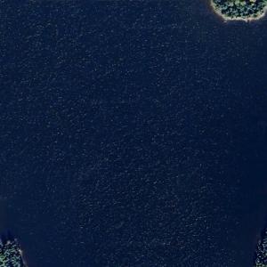 Johnson Lake (Google Maps)