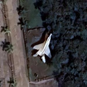MiG-29 (Google Maps)