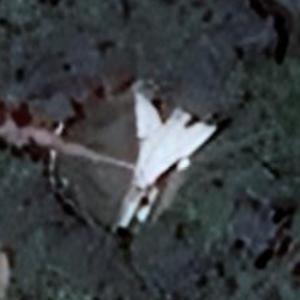 MiG-23BN (Google Maps)