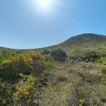 Isla Grosa