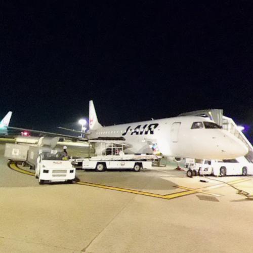 J Air Embraer 170/190 and JAL 737 in Osaka, Japan (Google Maps)