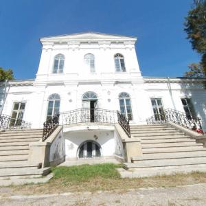 Alexandru Ghica palace (StreetView)