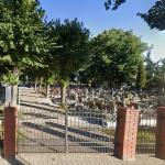 Przytoczna Cemetery