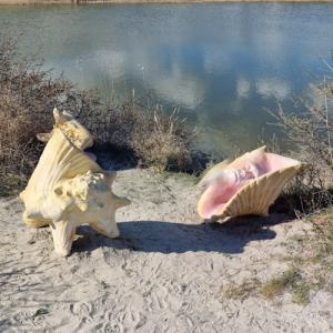'The Hermit' by Astrid Myhtekaer (StreetView)
