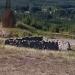'The garden of the Hesperidia' by Lars Vilks